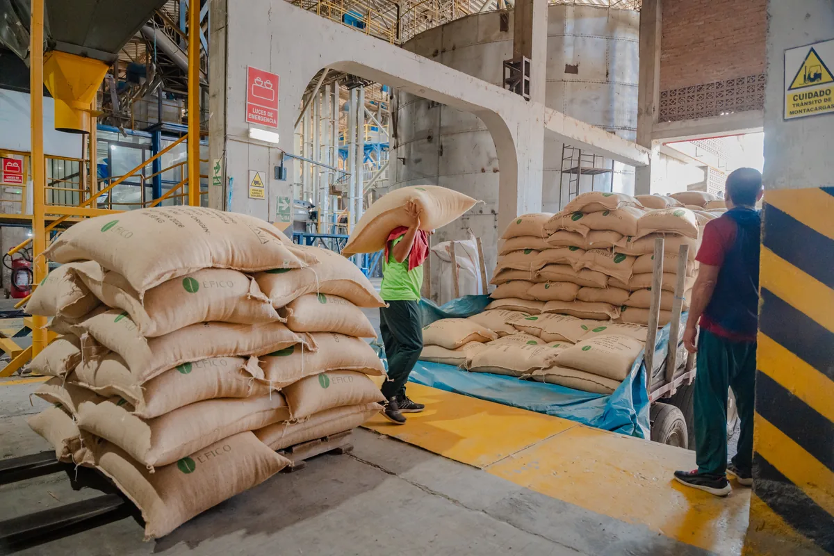 Coffee sourcing and storage center