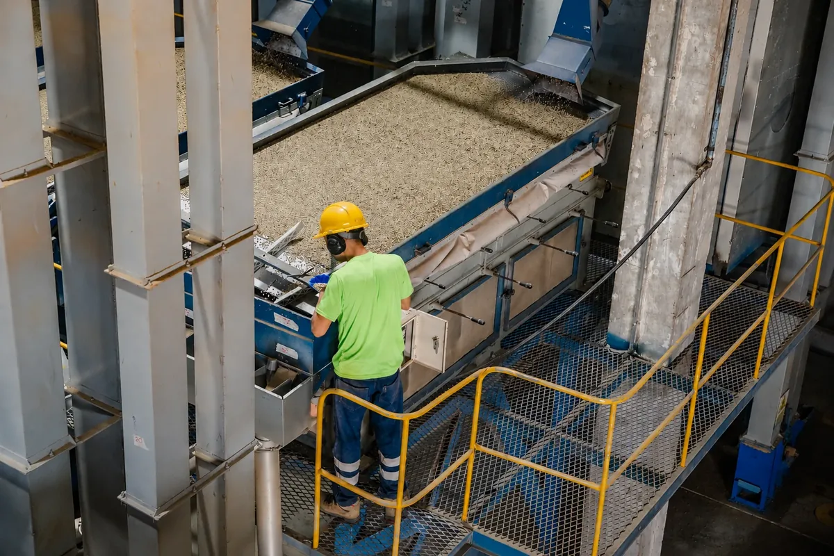Dry coffee processing at the plant