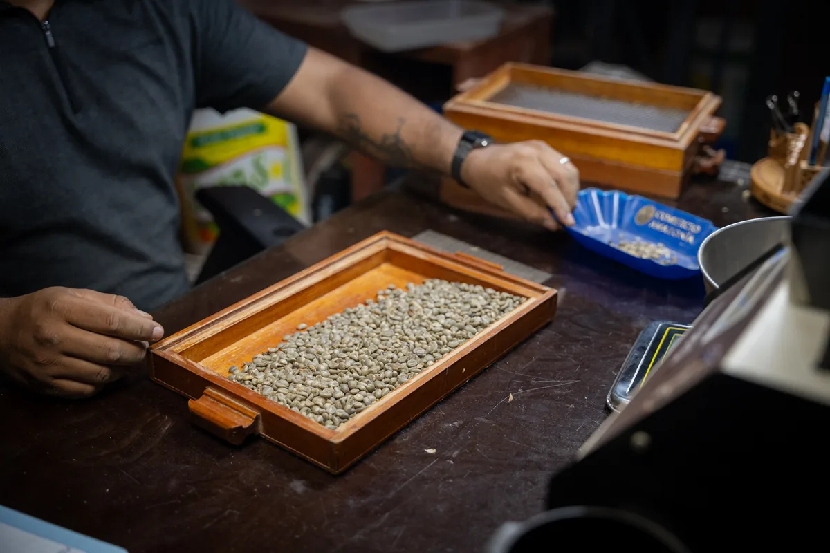 An&aacute;lisis f&iacute;sico del grano