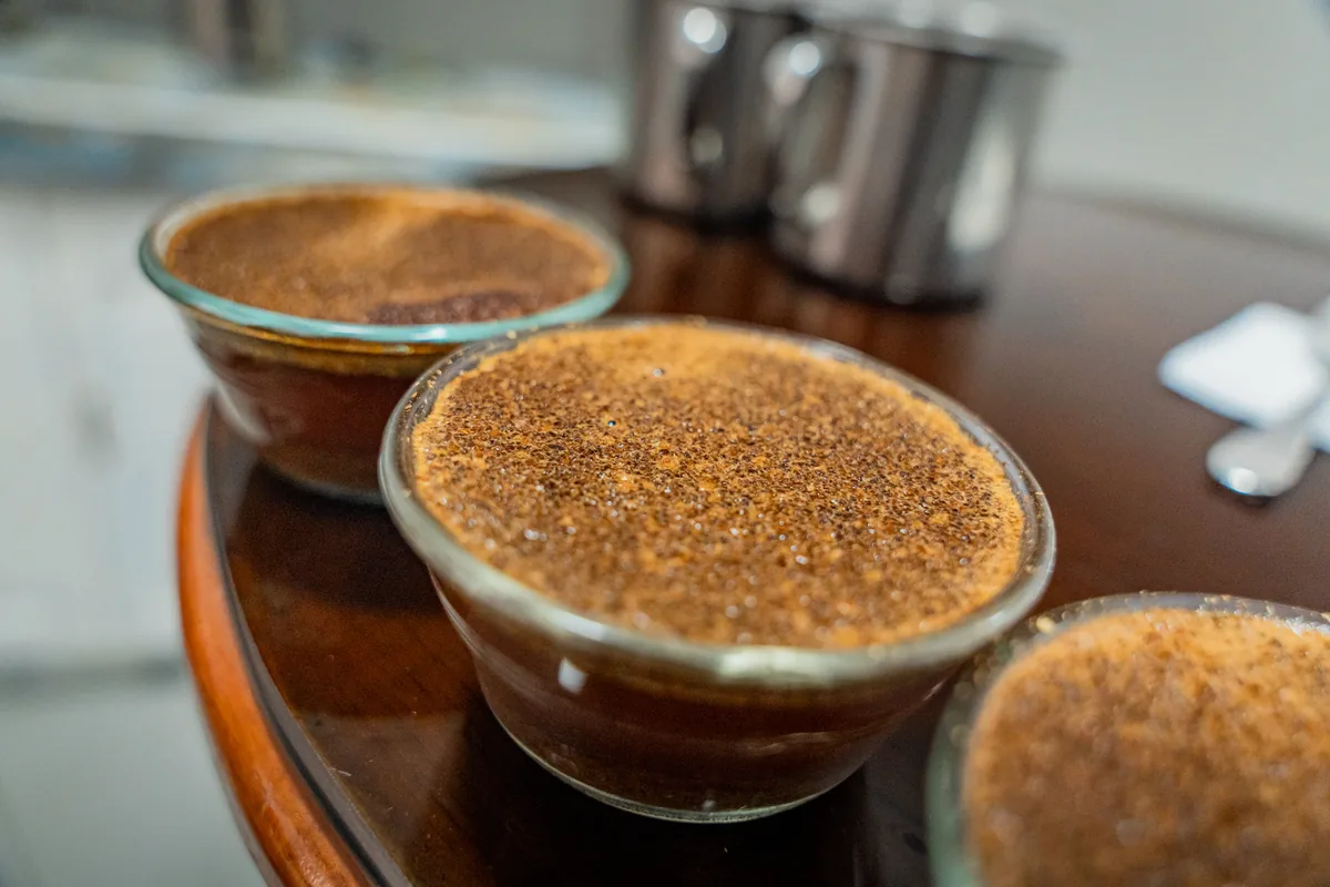 An&aacute;lisis sensorial en mesa de cataci&oacute;n