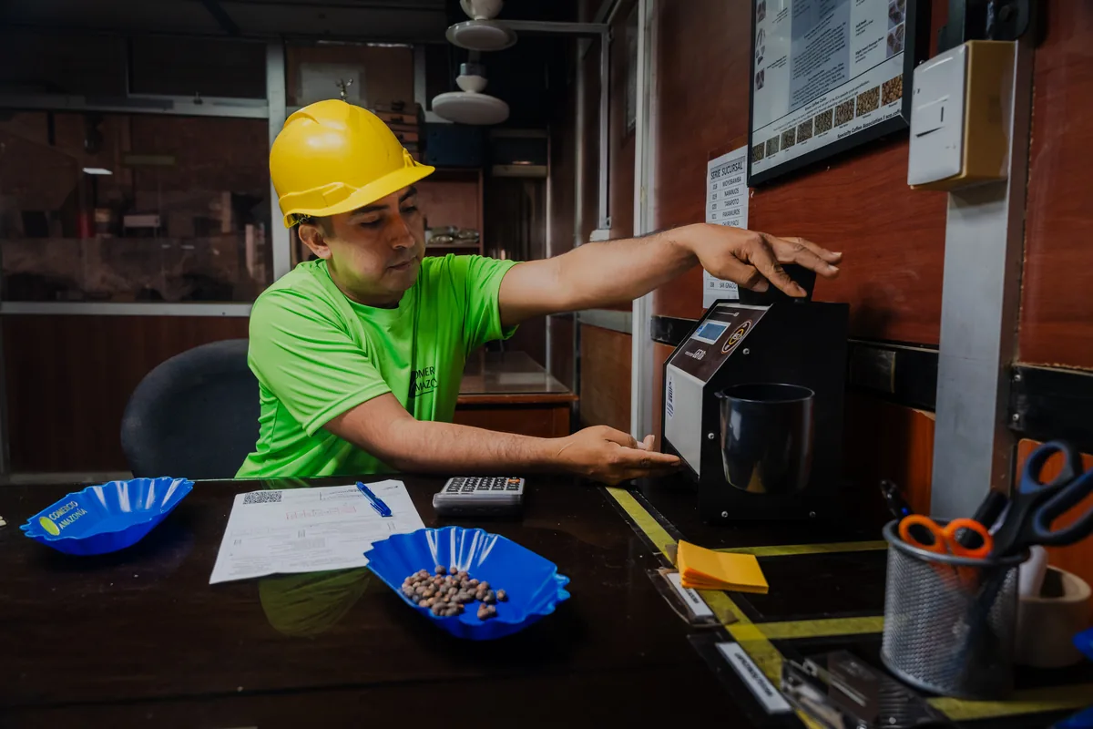 Control de humedad del caf&eacute; en planta