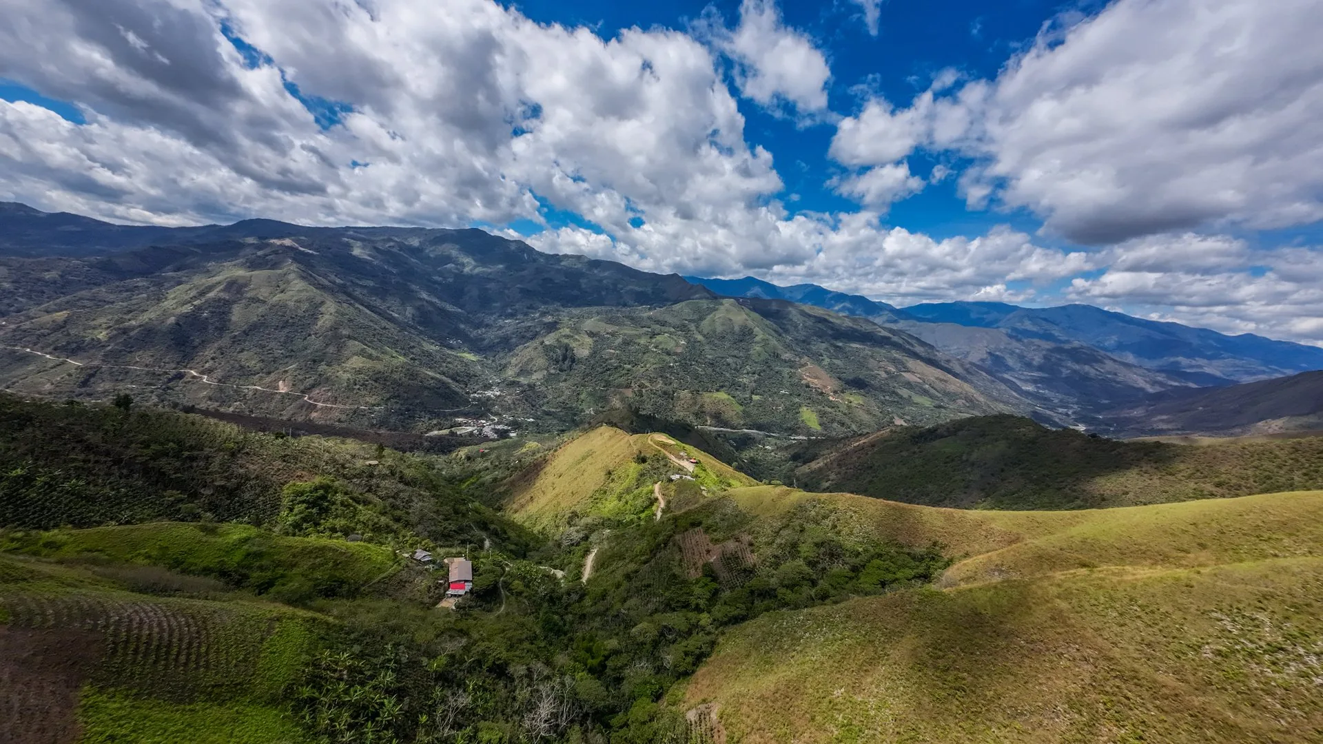 Paisaje cafetalero en Ja&eacute;n, Amazon&iacute;a peruana