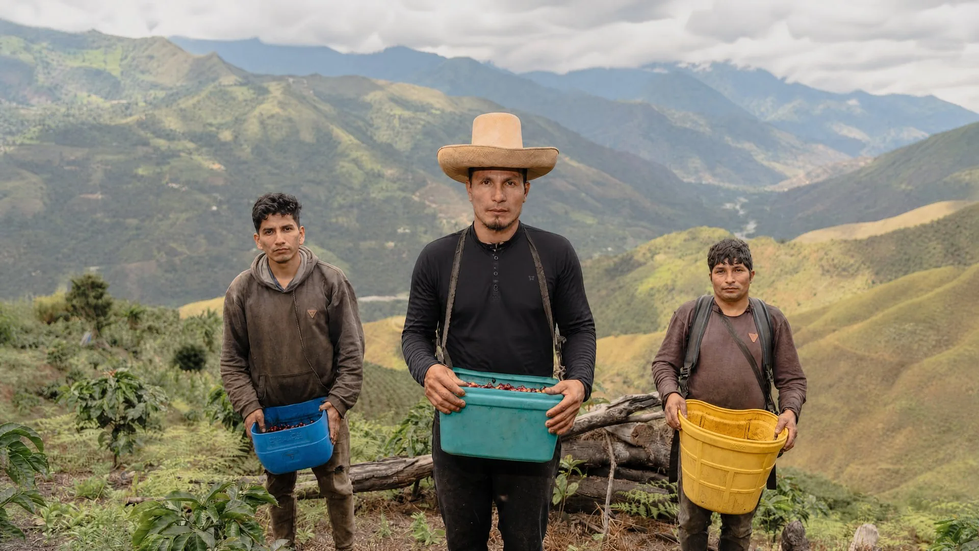 Programa Familia coffee farmers on the plantation