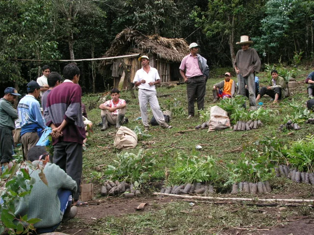 Beginning of the Programa Familia, 1998